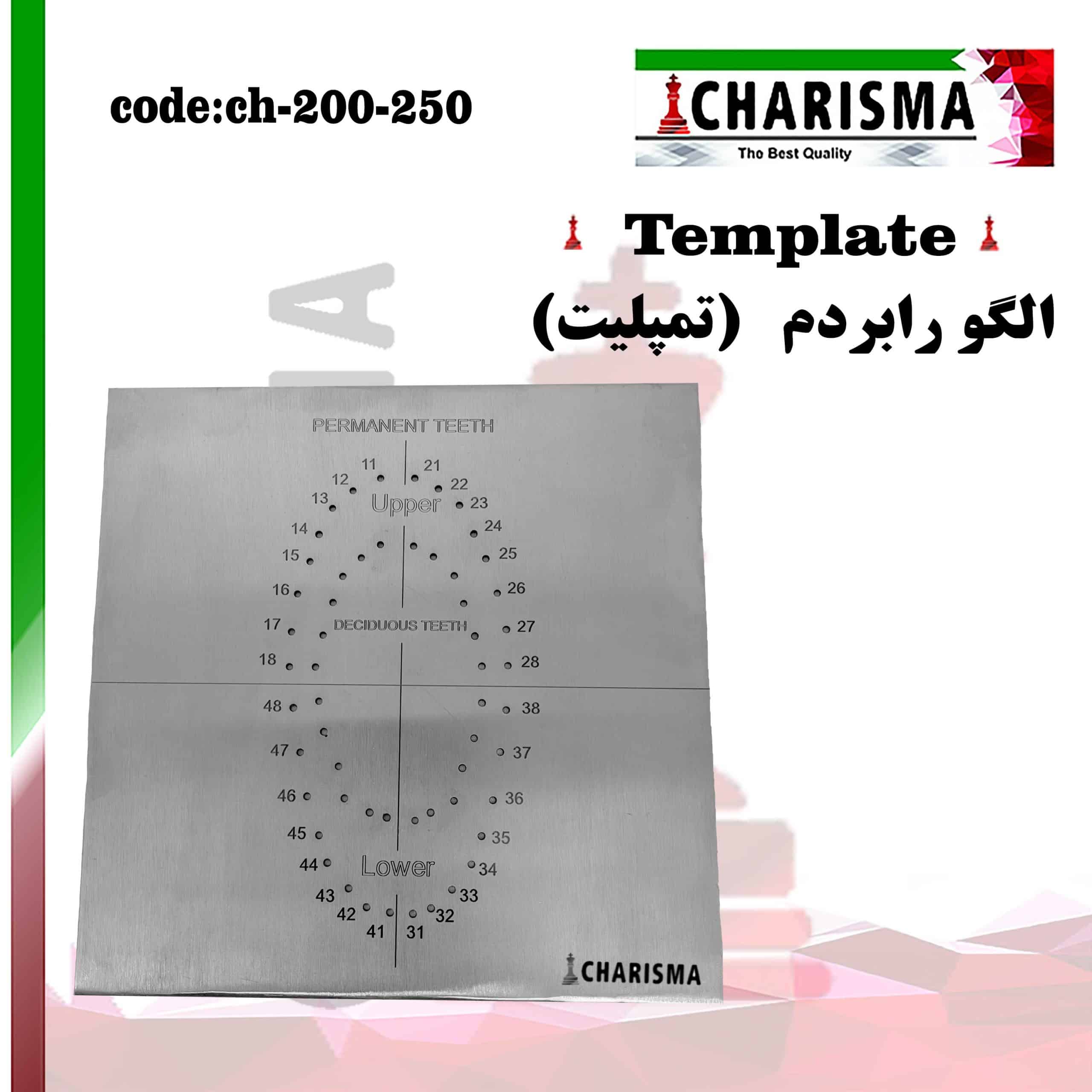 الگوی رابردم (تمپلیت template) کاریزما CHARISMA کد 250-200-CH