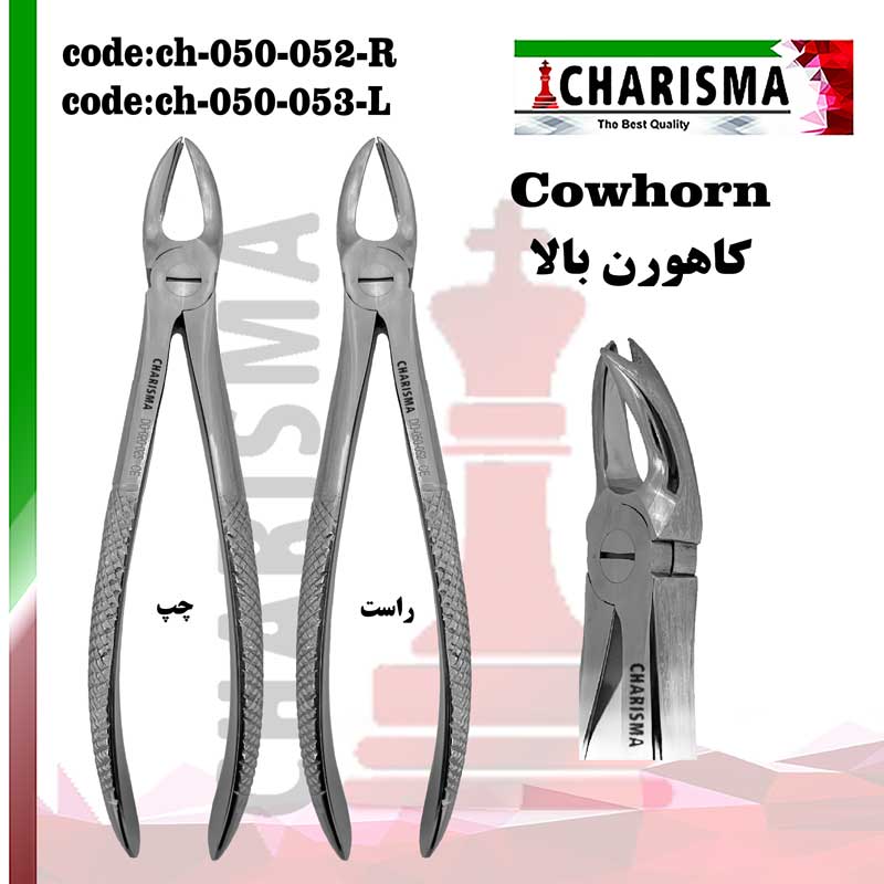 کاهورن بالا کاریزما CHARISMA ( چپ و راست )