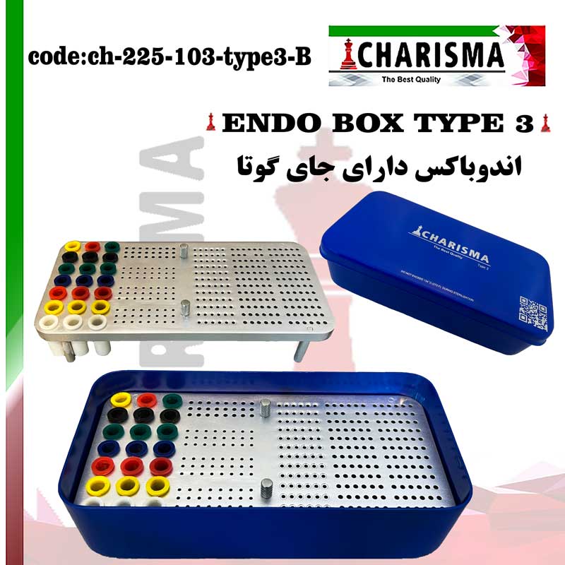 اندوباکس + جای گوتا بزرگ کاریزما CHARISMA ( 3رنگ ) کد ch-225-103-type3-S