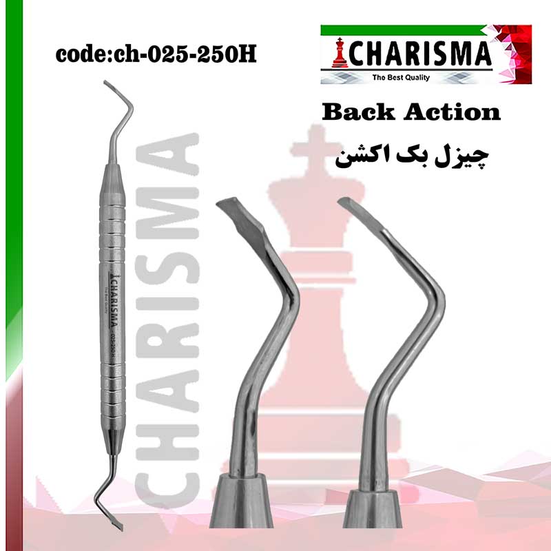 چیزل بک اکشن هالو کاریزما CHARISMA کد CH-025-250H