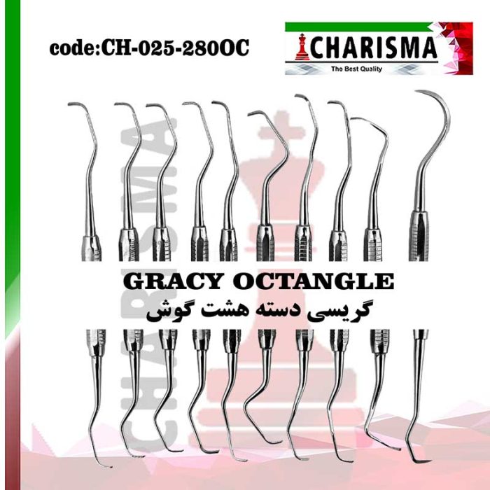 گریسی دسته هشت گوش کاریزما CHARISMA ( 9 مدل ) کد ch-025-280oc