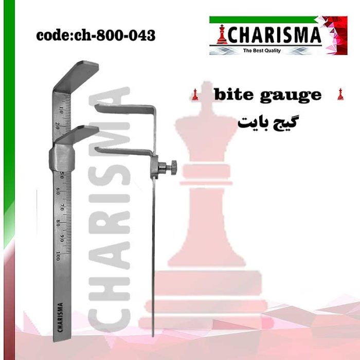 گیج بایت کاریزما CHARISMA کد CH-800-043